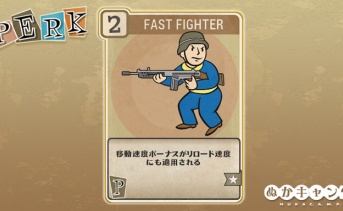 Fallout 76：Fast Fighter（Perception）