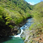 塩原温泉　彩つむぎ　女将の独り言
