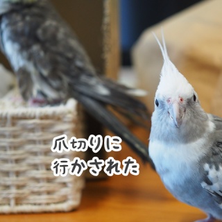 NEW!ユニブログ