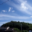 椿の剪定／盛夏が終わる？！