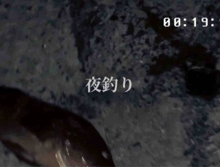 日曜日の夜釣りであっただろう話