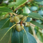 「藍川京」の部屋