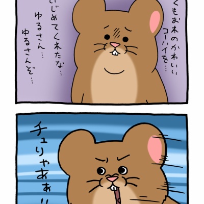 チャーハン皿5枚 ネコノヒー キューライス ネコノヒー 5 | キュー