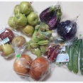 茨城県つくば市『わくわく広場』で新鮮野菜を調達する。