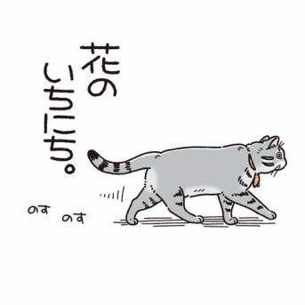 花のいちにち