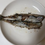 剣道やってます。