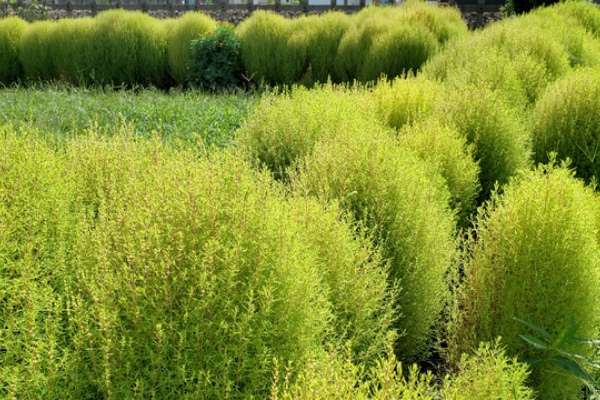 徒然なる阿弥慈の熊谷さんぽ Jr高崎線