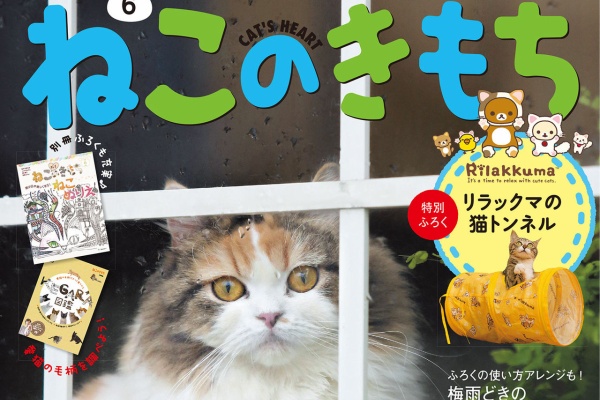 もふもふちゃんねる おすすめ雑誌