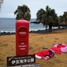 伊豆海洋公園潜りに行くなら新宿ダイビングスクール