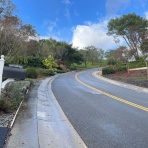 カリフォルニアのばあさんブログ