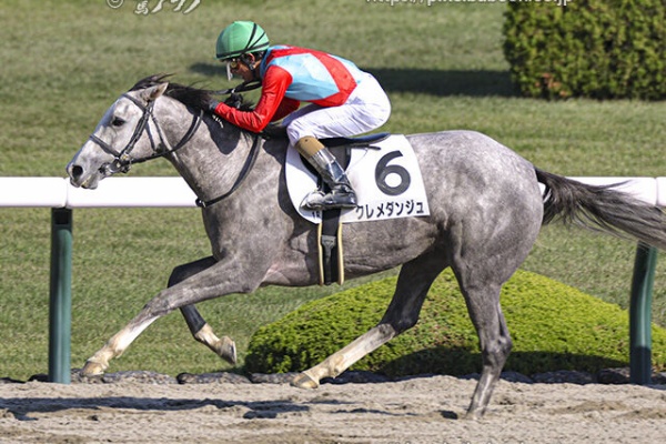 競馬ファンのこえ 和田竜二