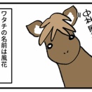 風花２歳になりました