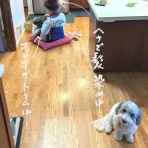 カリフォルニアのばあさんブログ