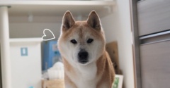 時が経つのは…