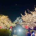 4月6日（月）の桜🌸三昧•2…西の丸庭園