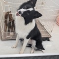 うるま店 トリミング🐶✂️