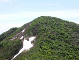ヒメサユリ咲く粟ヶ岳登山