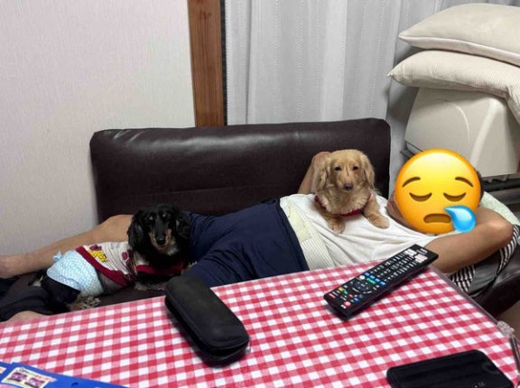 ひとりで寝るモコ。