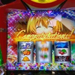 臼猫のお腹ねこパンチ