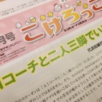 きまじめチキン日記