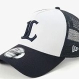 『打線一新　2026埼玉西武ライオンズ』の画像