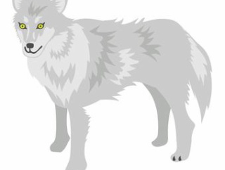 【画像】ニホンオオカミ、あんまり強くなさそうｗｗｗｗｗｗｗｗｗｗｗｗｗｗｗｗ