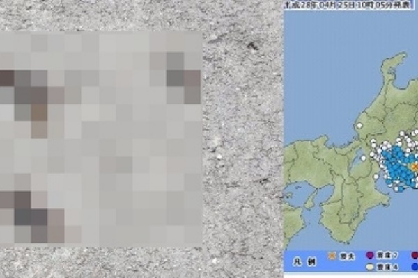 シグナル 南海トラフ