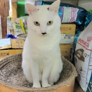 ✨今年もありがとうございました✨