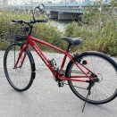 脊髄腫瘍術後の自転車練習クロスバイク編