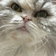 ケイとメルシーの体重測定