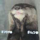 不登校や引きこもり…運も選択も関係するでしょ😌