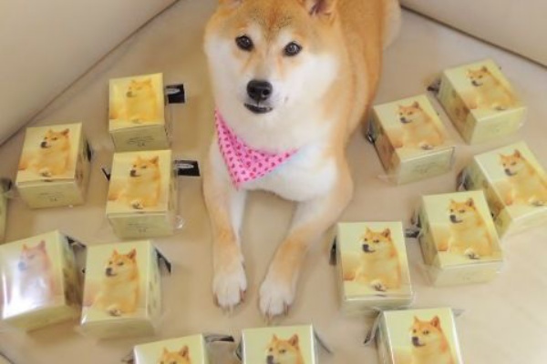 ウルトラプロ　doge スリーブ ultra pro かぼすちゃん 柴犬 ultra pro かぼすちゃん 柴犬 デッキケース doge - メルカリ