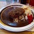 絶滅危惧種で金曜カレー　キッチン南海 上井草店