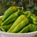 飲食経験40年のblog