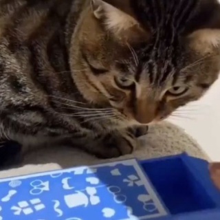 らばQ