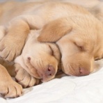 気功と整体で自律神経失調症を改善させる方法