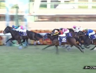 【競馬】ドゥラエレーデが電撃復帰　昨年末の引退発表を撤回して大井・藤田厩舎で現役続行へ