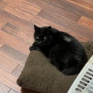 新しいベッドとの出会い…程よい寝心地でした