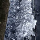 新規銘柄で株購入。配当金＋優待＋増配のトリプル