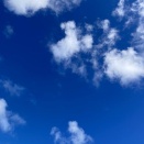 ２月１３日　　　久しぶりの再会です。