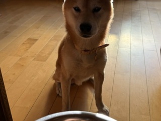 「電球」だから？ムカついた対応の販売員！…