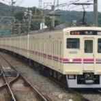 ホント、イエロー・マジック！