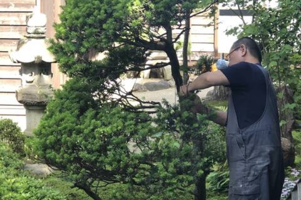 MEGUさんの平凡な一日 