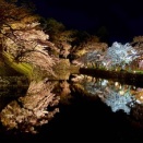 見事な水鏡、国宝彦根城