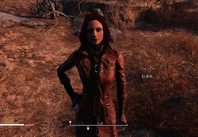 【フォールアウト4】コンパニオンは誰連れてる？【FO4】