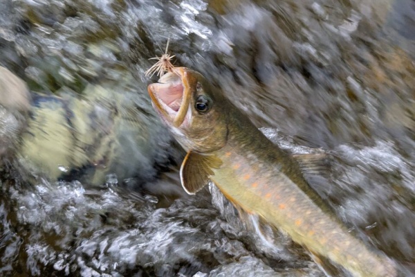 横田ロッド TN244 6f6in ♯3 J.Yokota maker 1030 横田ロッド TN244