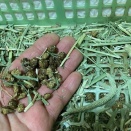 タイミングに注意。