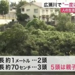 コノユビニュース