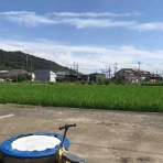 糸のアメリカで妊娠育児のキロク