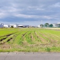 近隣公園「わくわくパーク村中（北西部地区公園）」が2029年度に供用開始予定（小牧市村中）